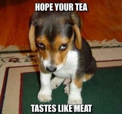 Beagle meme - hope your tea tastes like meat