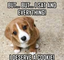 Beagle meme - but... But... I sat and everything! I deserve a cookie!