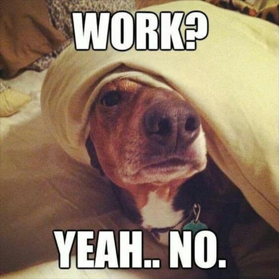 Beagle meme - work, yeah.. No.