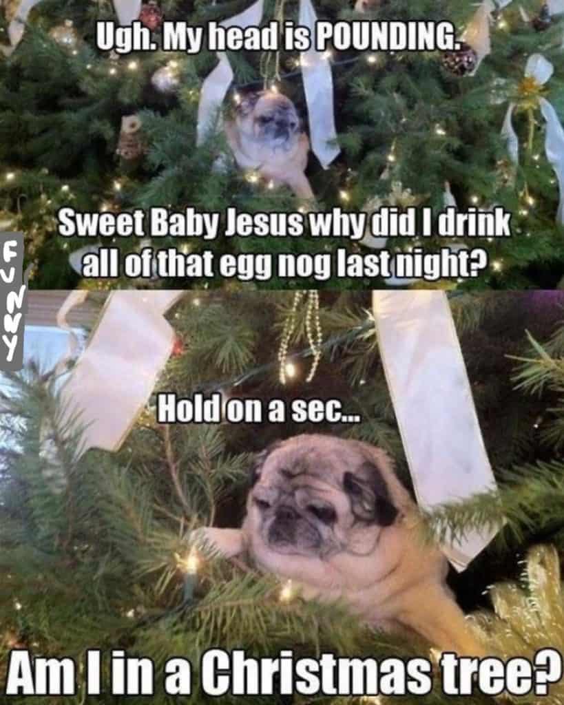 Pug meme - ugh my head is pounding sweet baby jesus why did i drink all of that egg nog last night hold on a sec am i in a christmas tree