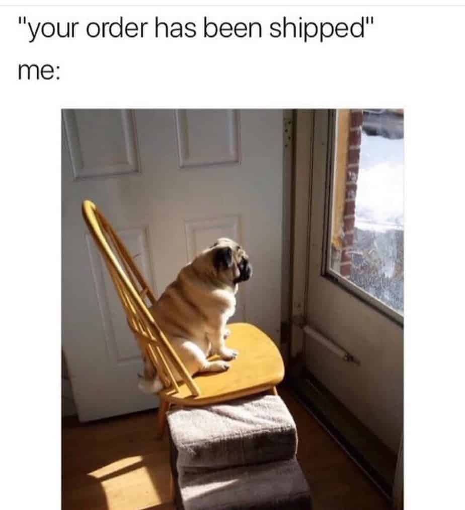 Pug meme - your order has been shipped me