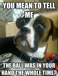 Boxer meme - you mean to tell me the ball was in your hand the whole time