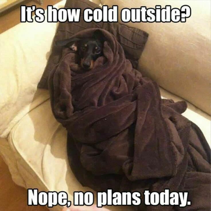 Weiner dog meme - it's how cold outside. Nope, no plans today.
