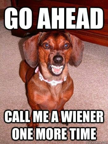 Weiner dog meme - go ahead call me a wiener one more time