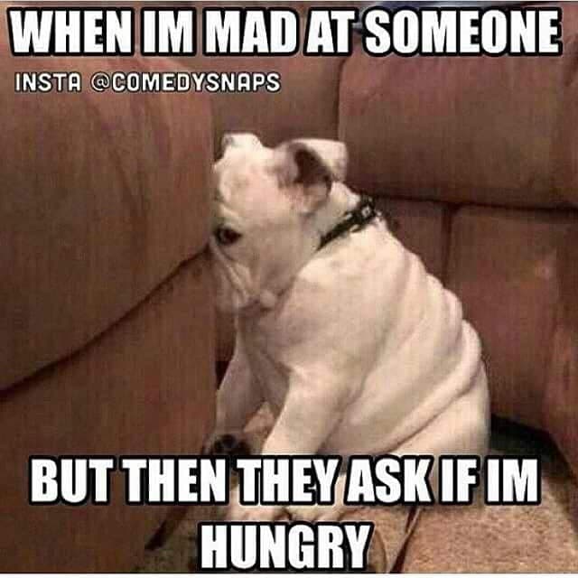 Pitbull meme - when i a mad at someone but then they ask if im hungry