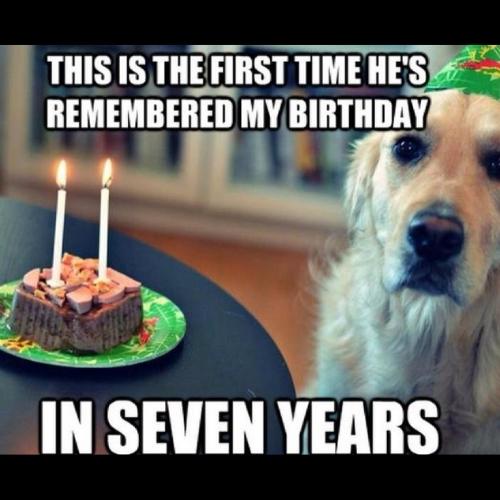 Happy Birthday Dog Meme-First time he remembered my birthday.