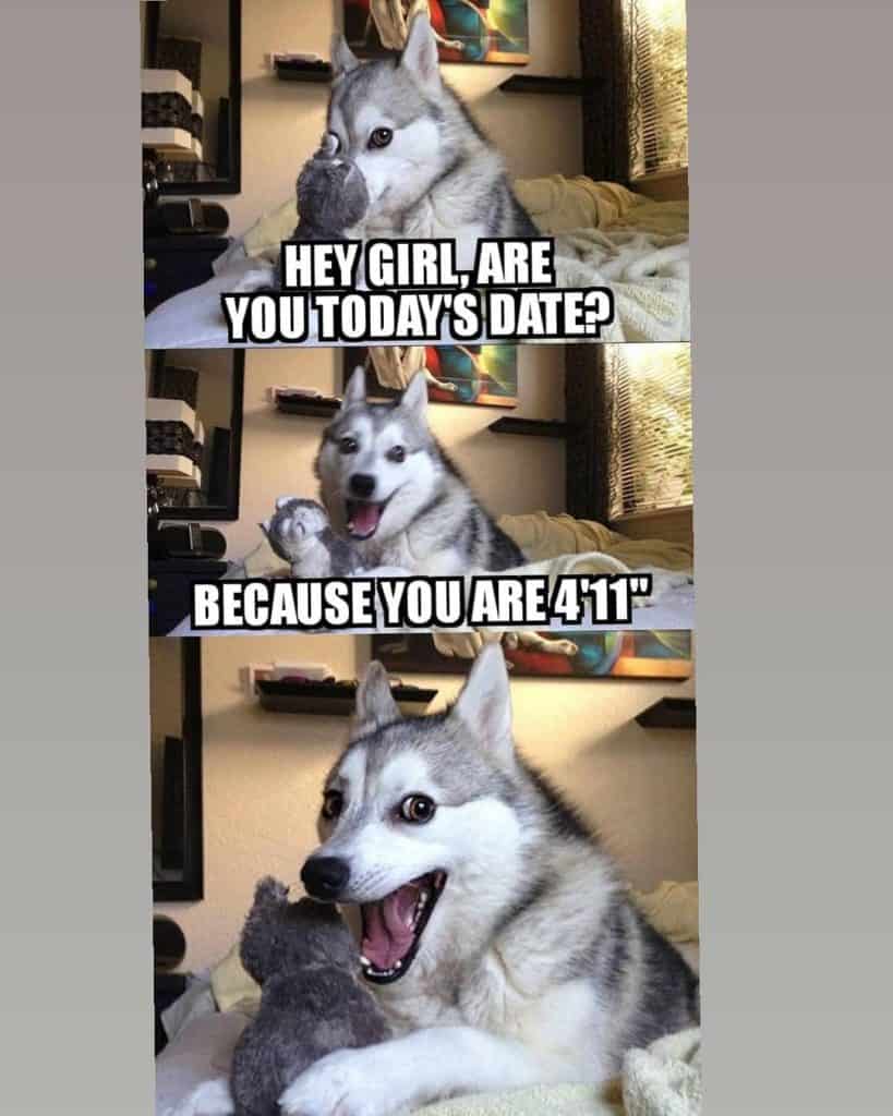 Hey girl are you today's date because you are 4'11'' - husky meme
