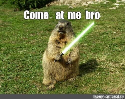 Prairie dog meme - come at me bro