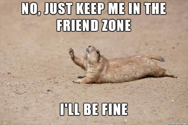 Prairie dog meme - no, just keep me in the friend zone i'll be fine