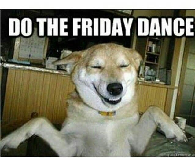 Dancing dog meme - do the friday dance