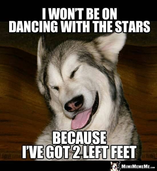 Dancing dog meme - i won't be on dancing with the stars because i've got 2 left feet