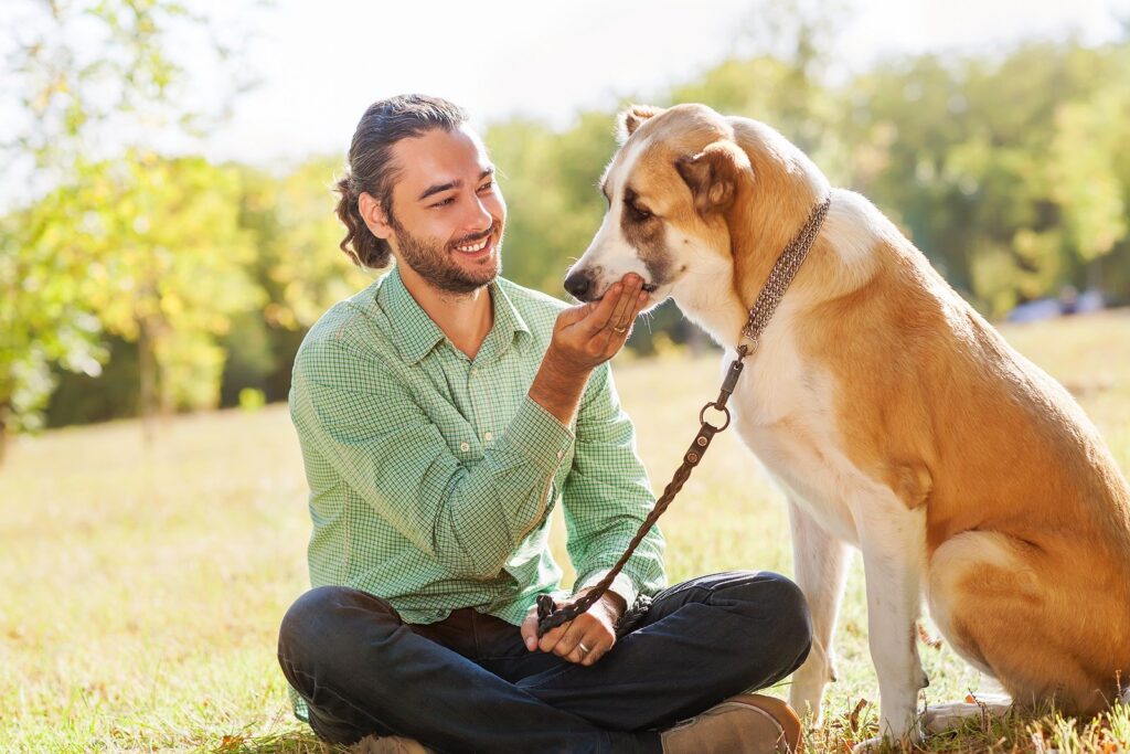 can dogs get sexually attracted to humans