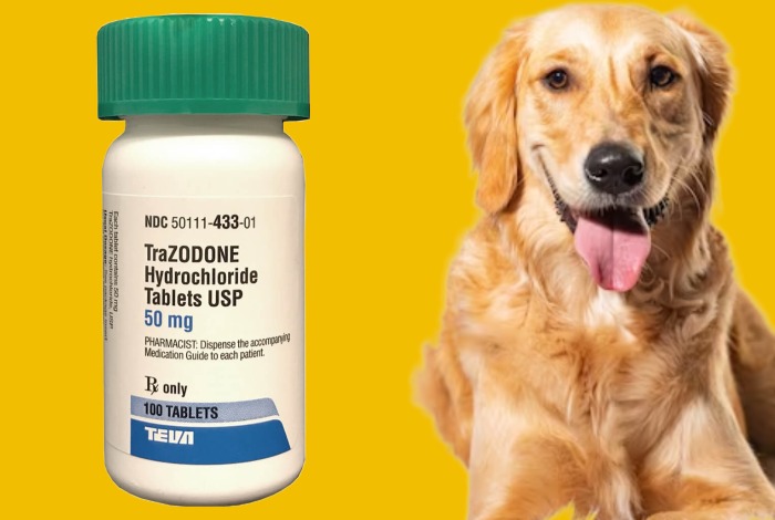 can trazodone kill a dog