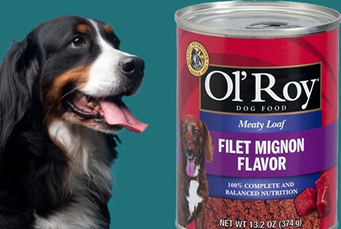 ol roy canned dog food