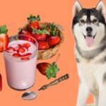 can dogs eat strawberry yogurt