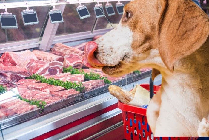 can i feed my dog raw meat from the supermarket