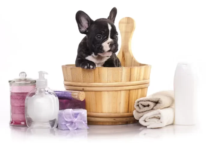 French Bulldog Shampoo