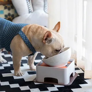 French Bulldog Bowls