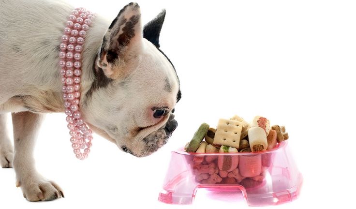 Dog Treats for French Bulldogs