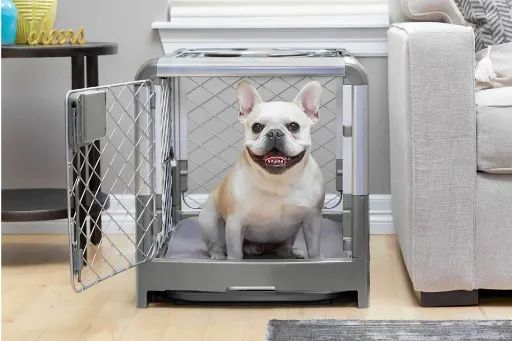 Dog Crate Size for French Bulldogs