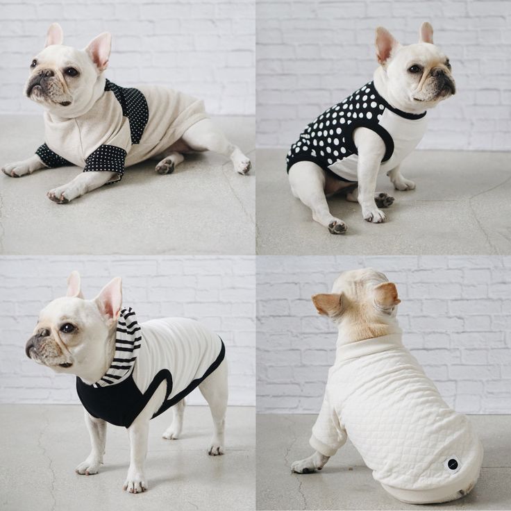 French Bulldog Accessories for Dogs