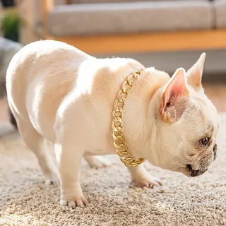 French Bulldog Chains