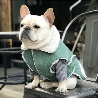 French Bulldog Clothes