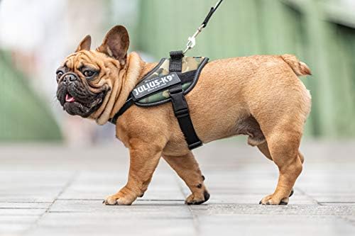 leather dog harness for french bulldog